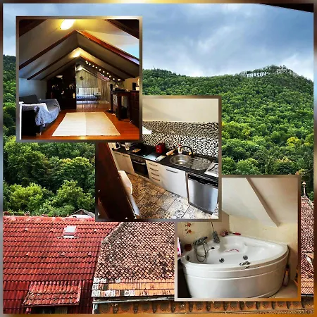 Private Attic In The Historical Centre Of Brasov Apartment