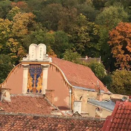 Apartment Private Attic In The Historical Centre Of Brasov *