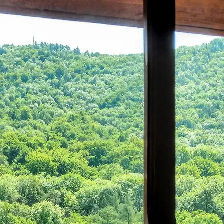 Private Attic In The Historical Centre Of Brasov Brasov